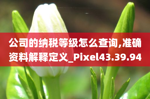 公司的纳税等级怎么查询,准确资料解释定义_Pixel43.39.94