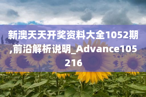 新澳天天开奖资料大全1052期,前沿解析说明_Advance105216