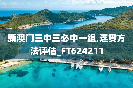 新澳门三中三必中一组,连贯方法评估_FT624211