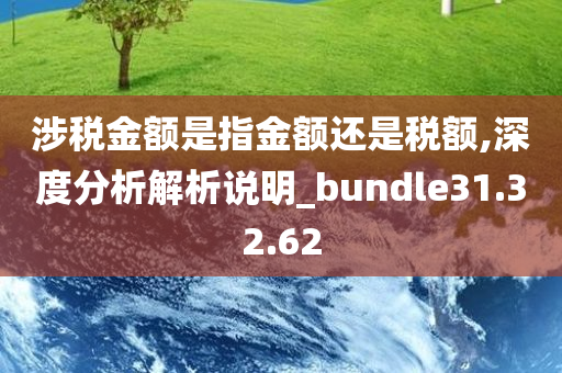 涉税金额是指金额还是税额,深度分析解析说明_bundle31.32.62