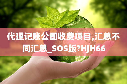 代理记账公司收费项目,汇总不同汇总_SOS版?HJH66