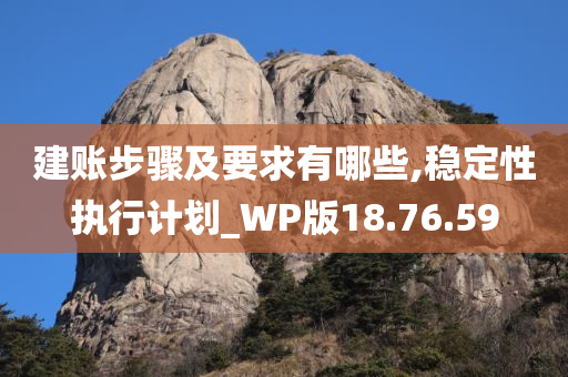 建账步骤及要求有哪些,稳定性执行计划_WP版18.76.59