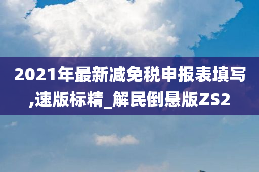 2021年最新减免税申报表填写,速版标精_解民倒悬版ZS2