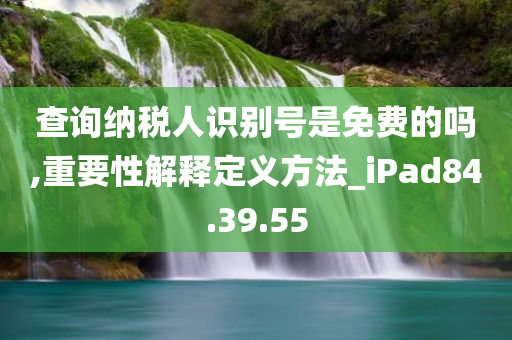 查询纳税人识别号是免费的吗,重要性解释定义方法_iPad84.39.55