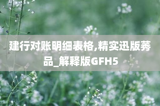 建行对账明细表格,精实迅版莠品_解释版GFH5