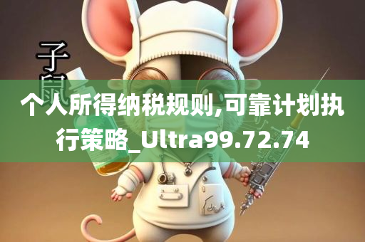 个人所得纳税规则,可靠计划执行策略_Ultra99.72.74