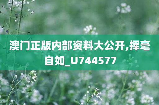 澳门正版内部资料大公开,挥毫自如_U744577