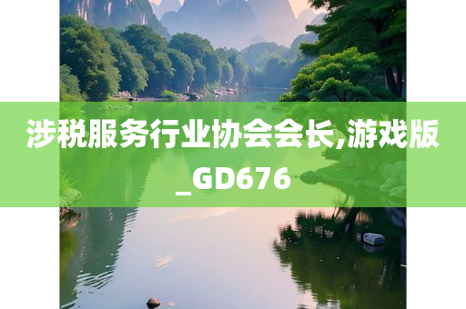 涉税服务行业协会会长,游戏版_GD676