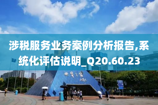 涉税服务业务案例分析报告,系统化评估说明_Q20.60.23