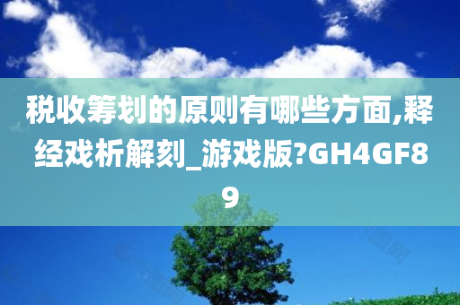 税收筹划的原则有哪些方面,释经戏析解刻_游戏版?GH4GF89