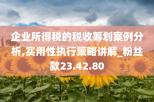 企业所得税的税收筹划案例分析,实用性执行策略讲解_粉丝款23.42.80