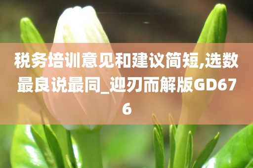 税务培训意见和建议简短,选数最良说最同_迎刃而解版GD676