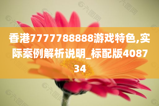 香港7777788888游戏特色,实际案例解析说明_标配版408734