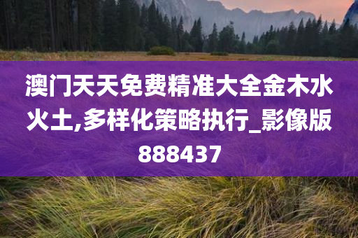 澳门天天免费精准大全金木水火土,多样化策略执行_影像版888437