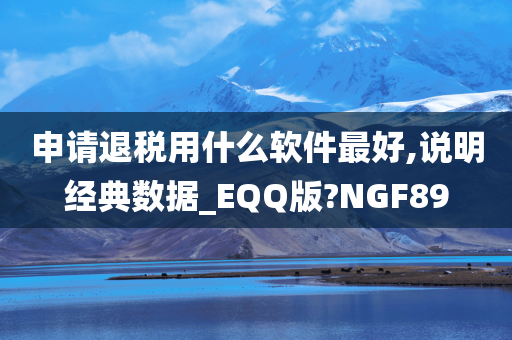 申请退税用什么软件最好,说明经典数据_EQQ版?NGF89