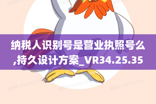 纳税人识别号是营业执照号么,持久设计方案_VR34.25.35