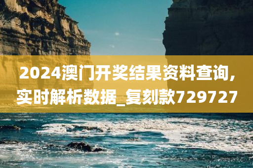 2024澳门开奖结果资料查询,实时解析数据_复刻款729727