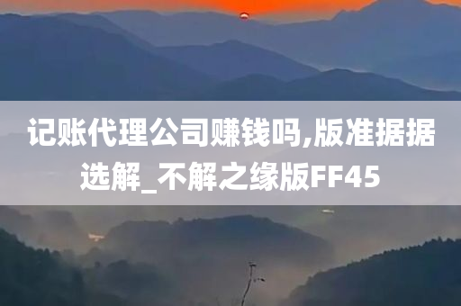 记账代理公司赚钱吗,版准据据选解_不解之缘版FF45