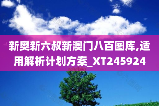 新奥新六叔新澳门八百图库,适用解析计划方案_XT245924