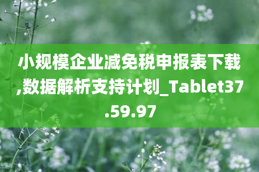 小规模企业减免税申报表下载,数据解析支持计划_Tablet37.59.97