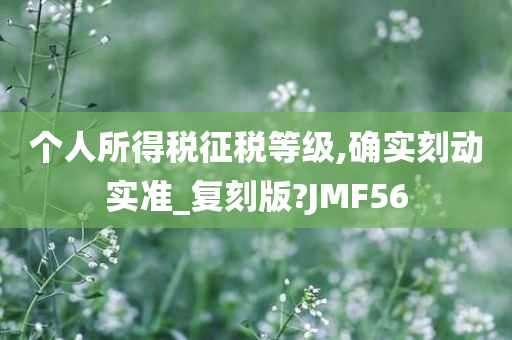 个人所得税征税等级,确实刻动实准_复刻版?JMF56