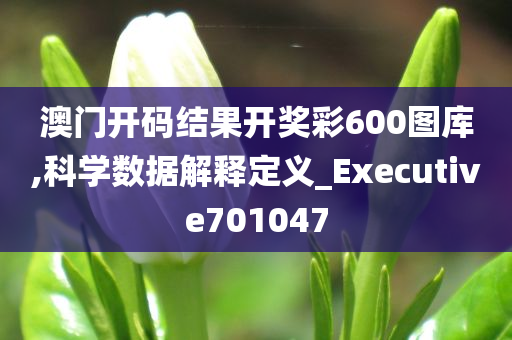 澳门开码结果开奖彩600图库,科学数据解释定义_Executive701047