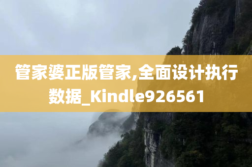 管家婆正版管家,全面设计执行数据_Kindle926561