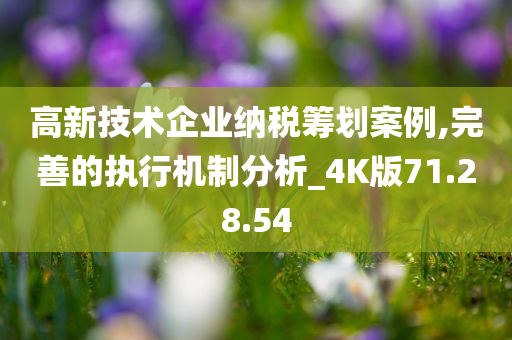 高新技术企业纳税筹划案例,完善的执行机制分析_4K版71.28.54