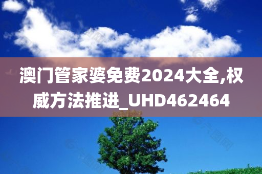 澳门管家婆免费2024大全,权威方法推进_UHD462464