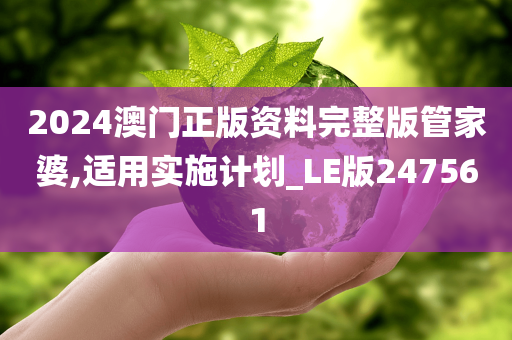 2024澳门正版资料完整版管家婆,适用实施计划_LE版247561