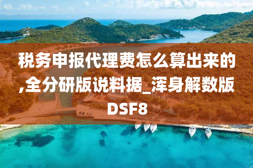 税务申报代理费怎么算出来的,全分研版说料据_浑身解数版DSF8