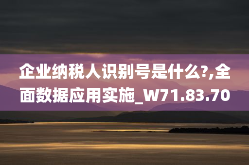 企业纳税人识别号是什么?,全面数据应用实施_W71.83.70