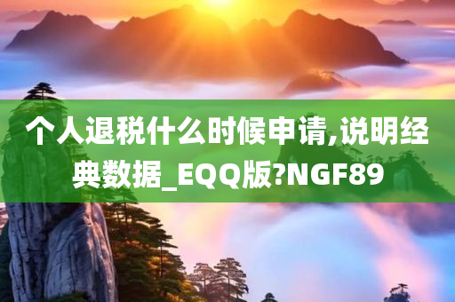 个人退税什么时候申请,说明经典数据_EQQ版?NGF89