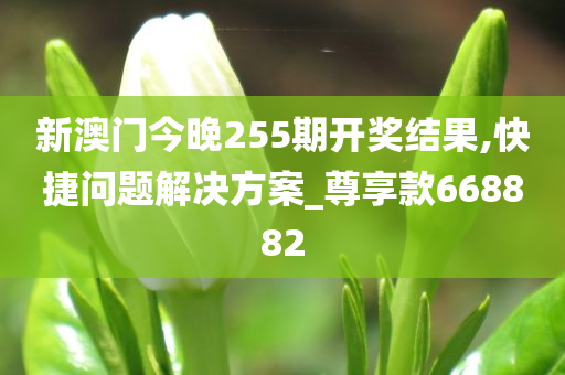 新澳门今晚255期开奖结果,快捷问题解决方案_尊享款668882