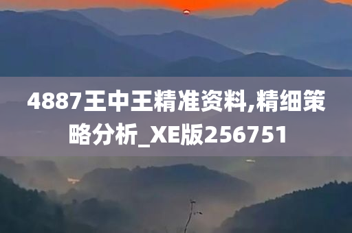 4887王中王精准资料,精细策略分析_XE版256751