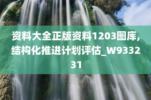 资料大全正版资料1203图库,结构化推进计划评估_W933231