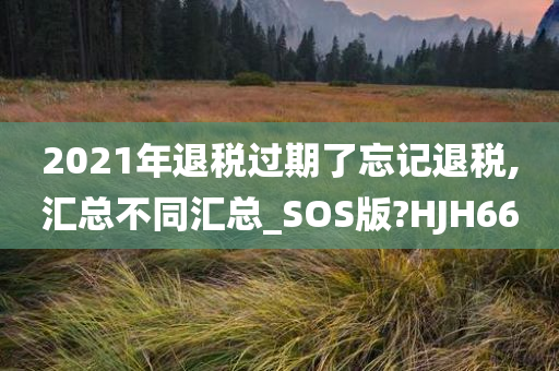 2021年退税过期了忘记退税,汇总不同汇总_SOS版?HJH66