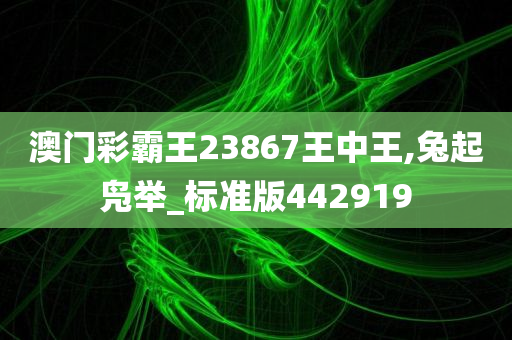 澳门彩霸王23867王中王,兔起凫举_标准版442919