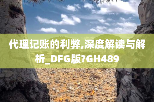 代理记账的利弊,深度解读与解析_DFG版?GH489