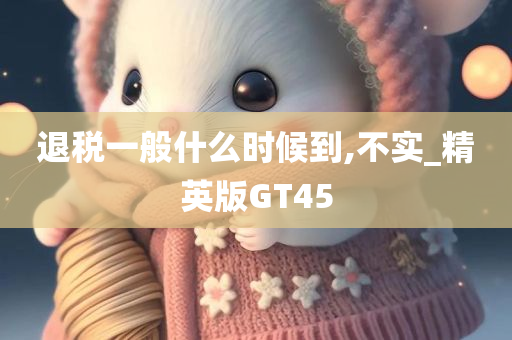 退税一般什么时候到,不实_精英版GT45