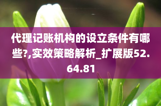 代理记账机构的设立条件有哪些?,实效策略解析_扩展版52.64.81