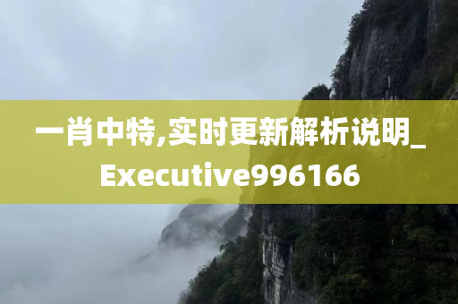 一肖中特,实时更新解析说明_Executive996166