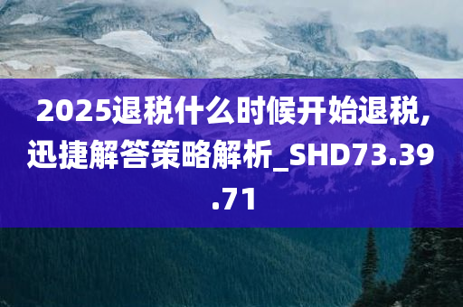 2025退税什么时候开始退税,迅捷解答策略解析_SHD73.39.71