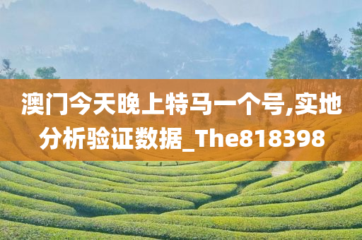 澳门今天晚上特马一个号,实地分析验证数据_The818398