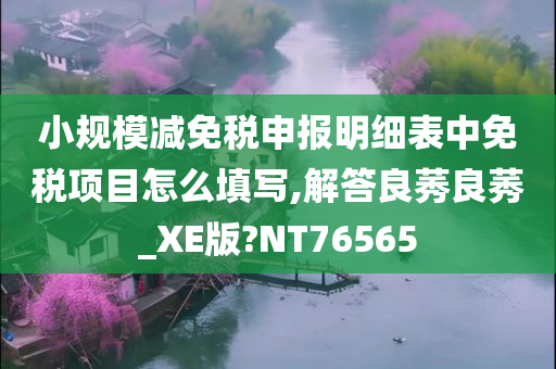 小规模减免税申报明细表中免税项目怎么填写,解答良莠良莠_XE版?NT76565