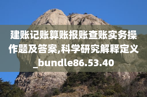 建账记账算账报账查账实务操作题及答案,科学研究解释定义_bundle86.53.40