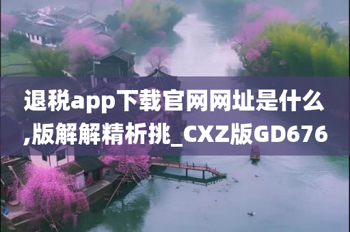 退税app下载官网网址是什么,版解解精析挑_CXZ版GD676