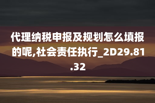 代理纳税申报及规划怎么填报的呢,社会责任执行_2D29.81.32