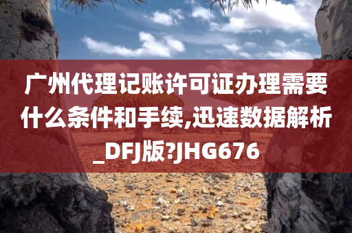 广州代理记账许可证办理需要什么条件和手续,迅速数据解析_DFJ版?JHG676