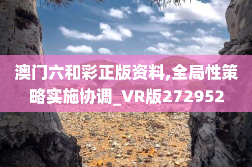 澳门六和彩正版资料,全局性策略实施协调_VR版272952